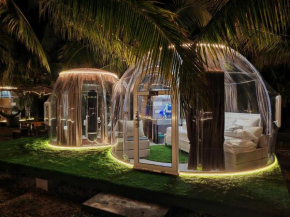 The Coco Journey - Eco Dome